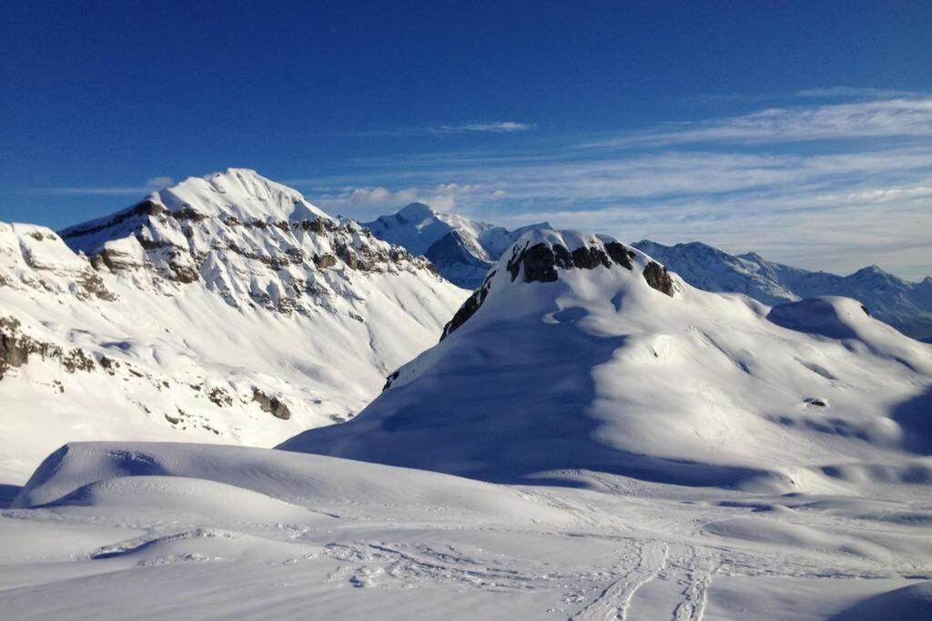 レ・キャローズ・ダラッシュEden Roc Grand Massifアパートメント エクステリア 写真